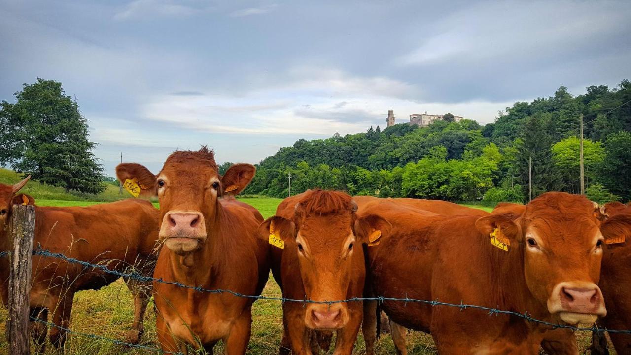 Pie Castello Panzió Susegana Kültér fotó